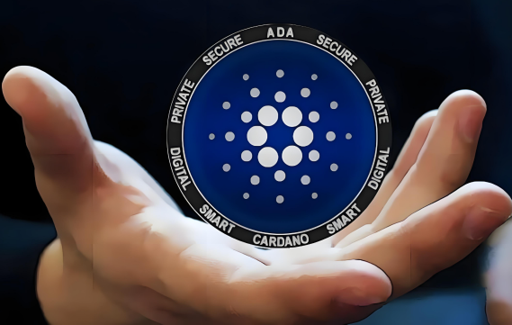 WFCA币价格约为0.0592美元 WFCA币值得长期投资吗